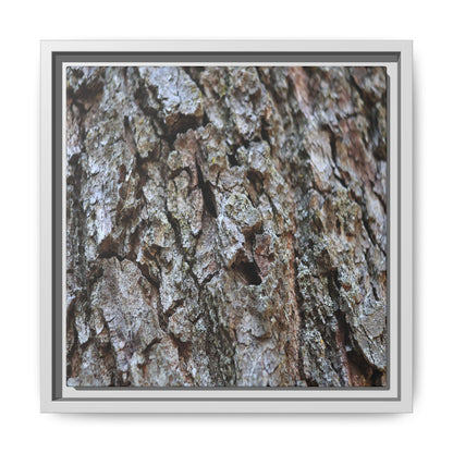 Woodland Canvas - Unique Stretched Canvas Wall Art - Art By Earth