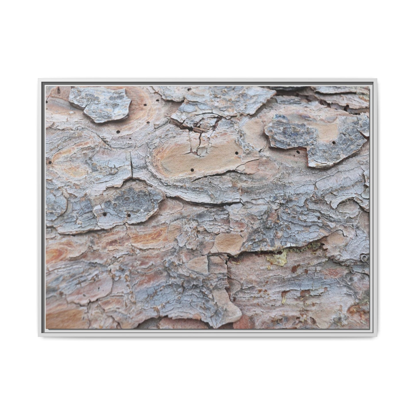 Peeling Memories - Unique Stretched Canvas Wall Art - Art By Earth