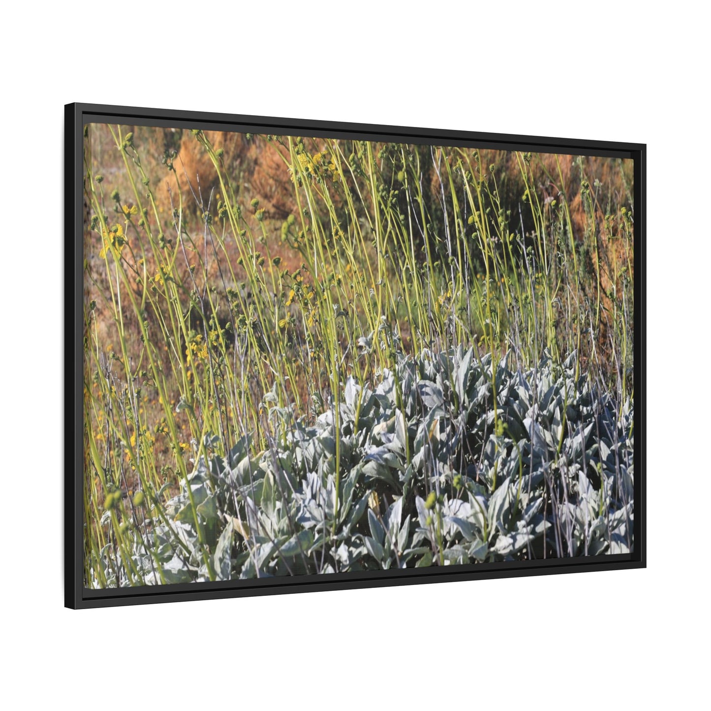 Arid Landscape with Yellow Flowers - Unique Stretched Canvas Wall Art - Art By Earth