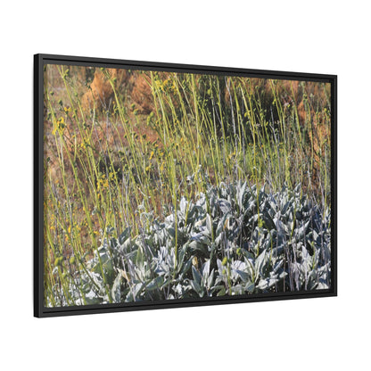 Arid Landscape with Yellow Flowers - Unique Stretched Canvas Wall Art - Art By Earth