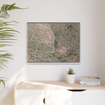 Mountain Slope with Desert Vegetation - Unique Stretched Canvas Wall Art - Art By Earth