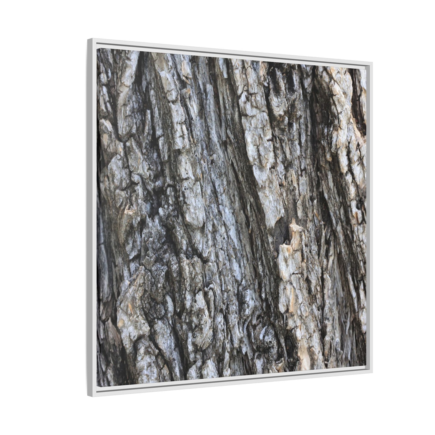Twisted Textures - Unique Stretched Canvas Wall Art - Art By Earth