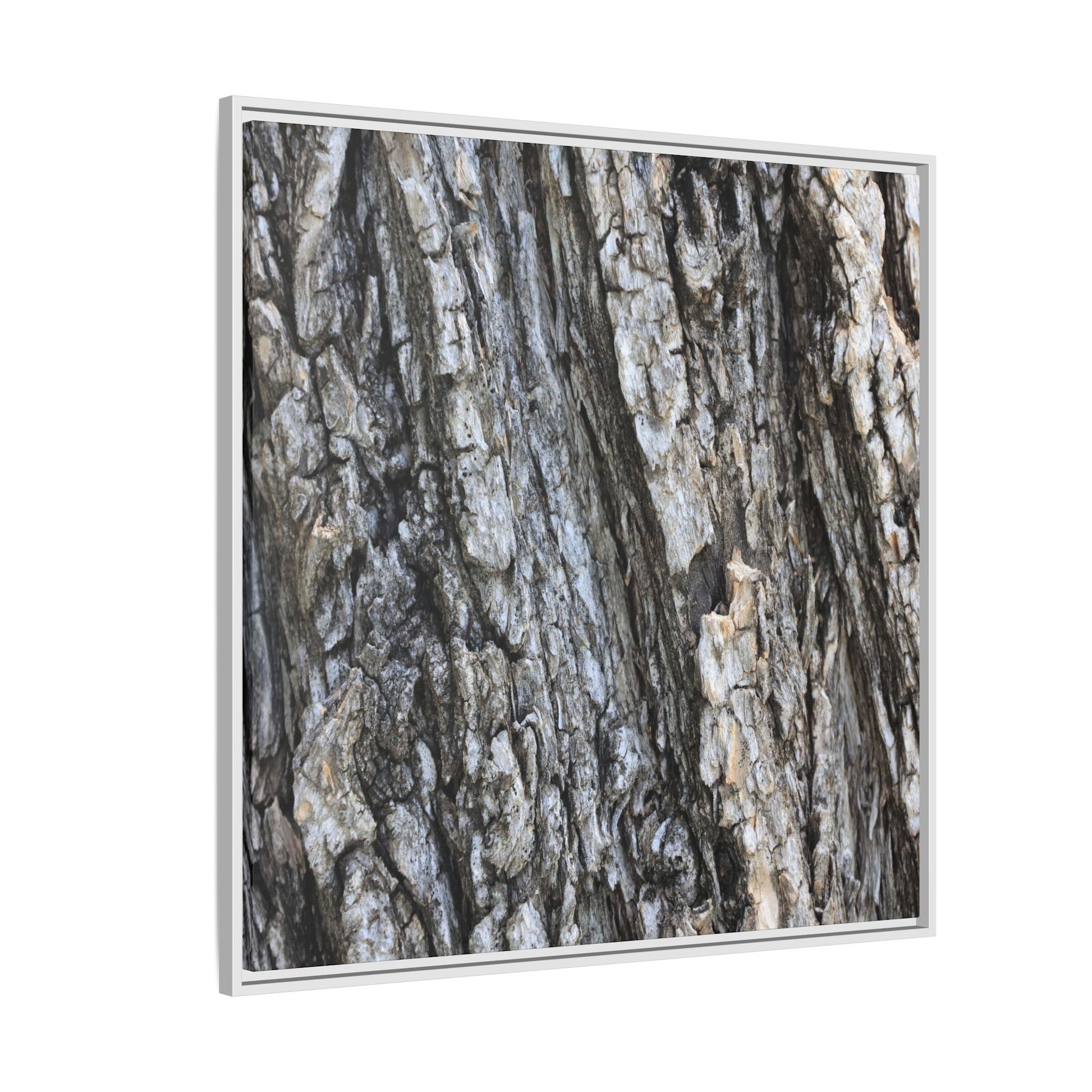 Twisted Textures - Unique Stretched Canvas Wall Art - Art By Earth