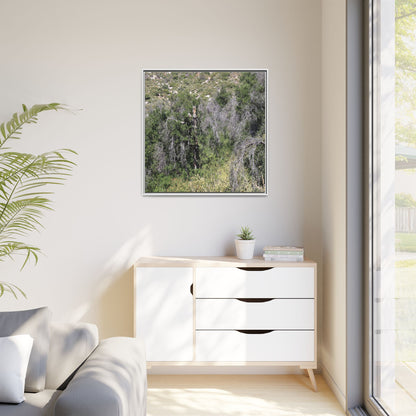 Forest Decline - Unique Stretched Canvas Wall Art