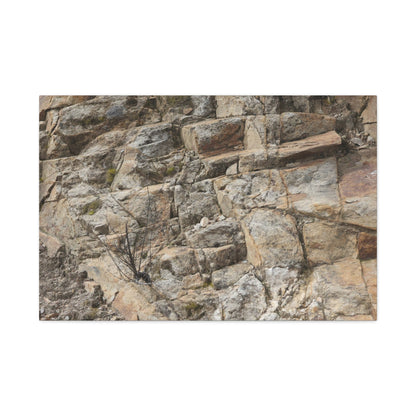 Broken Rock Canvas - Unique Frameless Canvas Wall Art - Art By Earth