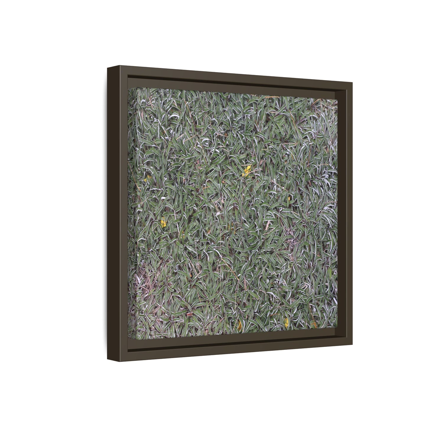 Grassy Texture - Unique Stretched Canvas Wall Art - Art By Earth
