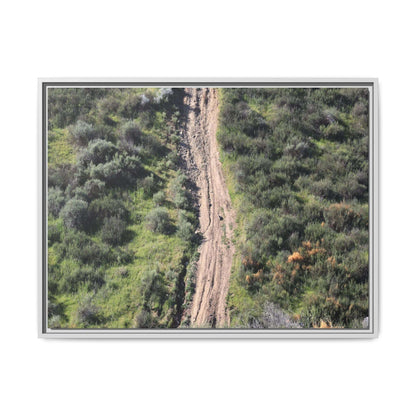 Desert Path Through Sage - Unique Stretched Canvas Wall Art - Art By Earth