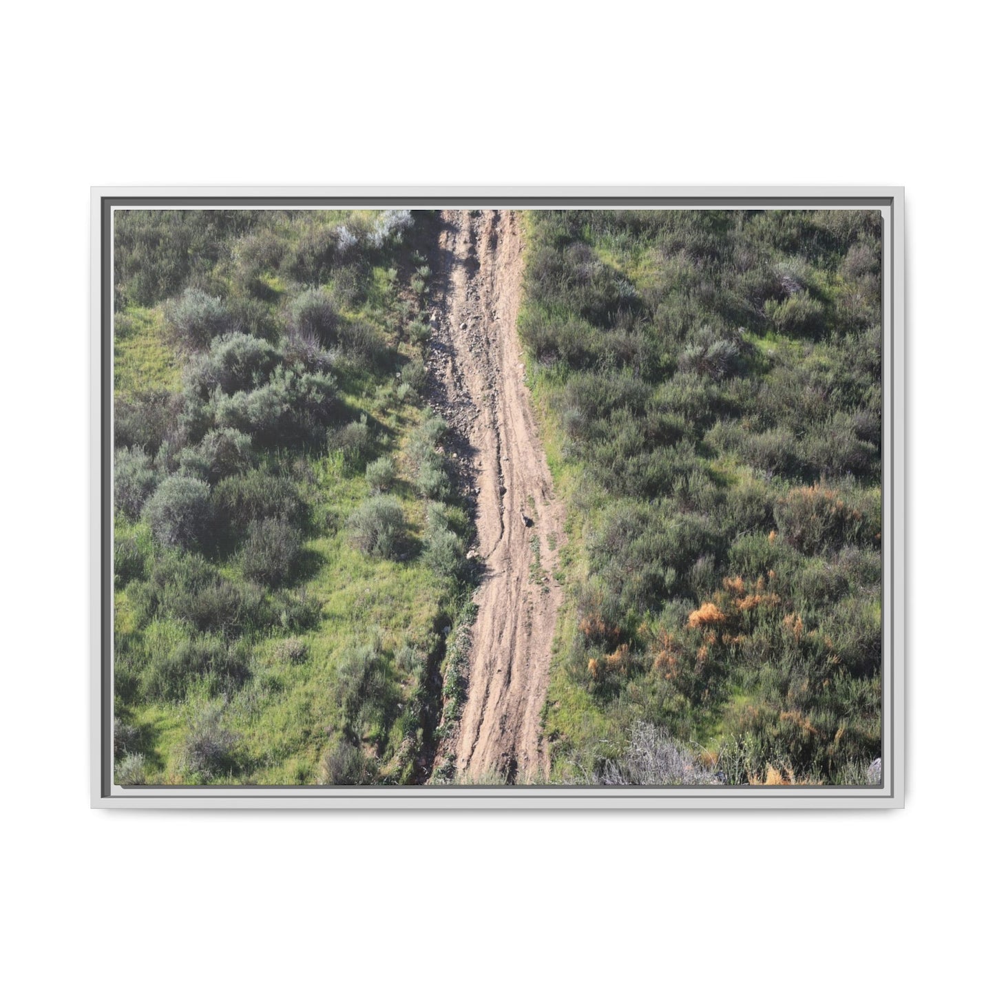 Desert Path Through Sage - Unique Stretched Canvas Wall Art - Art By Earth