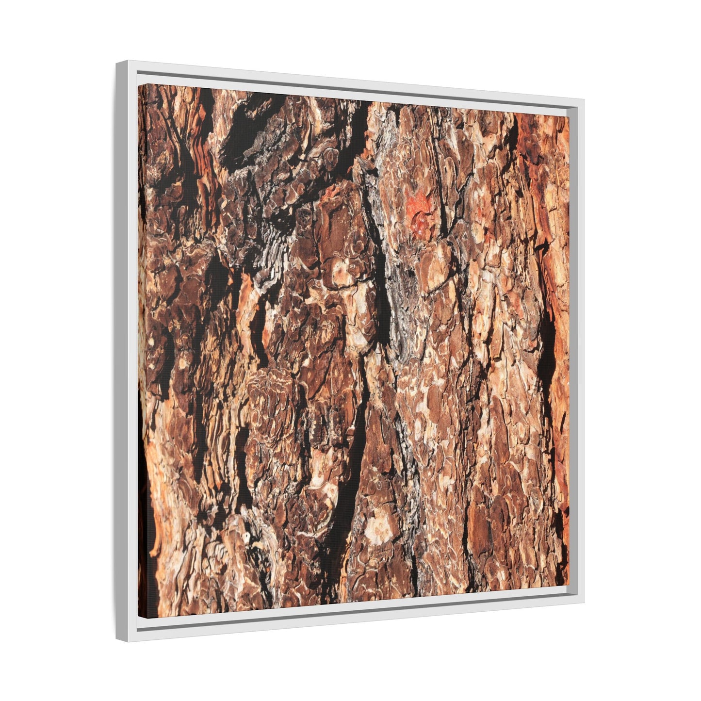 Nature's Rugged Canvas - Unique Stretched Canvas Wall Art