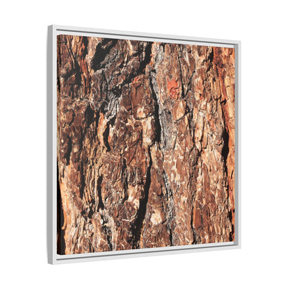 Nature's Rugged Canvas - Unique Stretched Canvas Wall Art