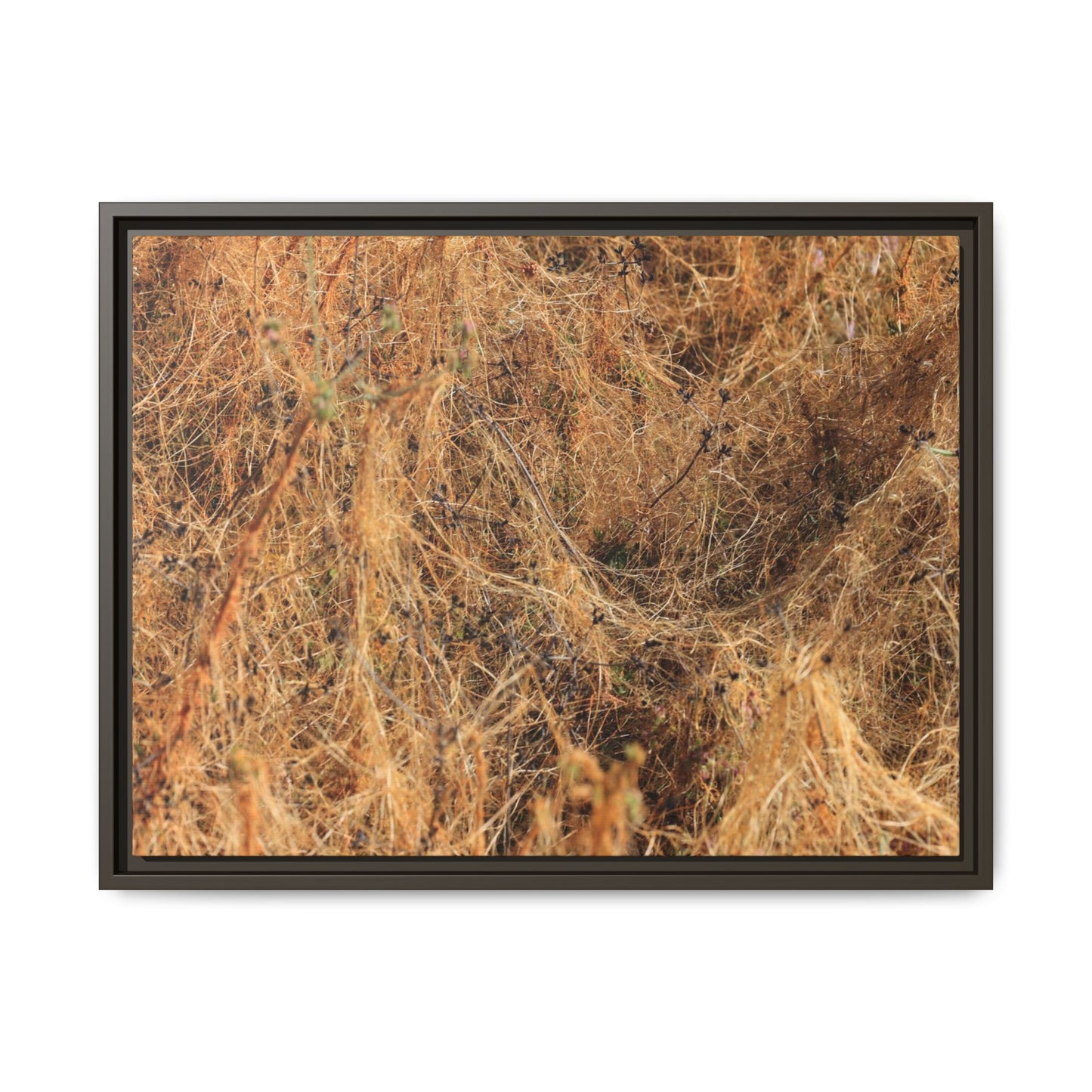 Dried Vegetation Study - Unique Stretched Canvas Wall Art - Art By Earth