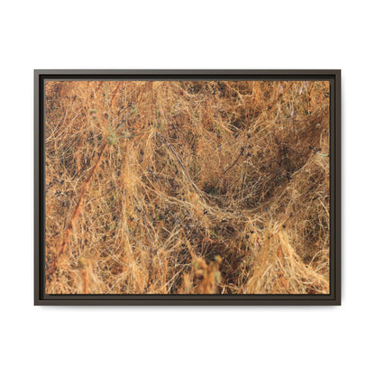 Dried Vegetation Study - Unique Stretched Canvas Wall Art - Art By Earth