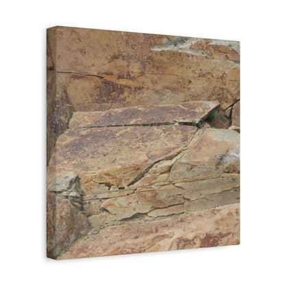 Rocky Terrain - Unique Frameless Canvas Wall Art - Art By Earth