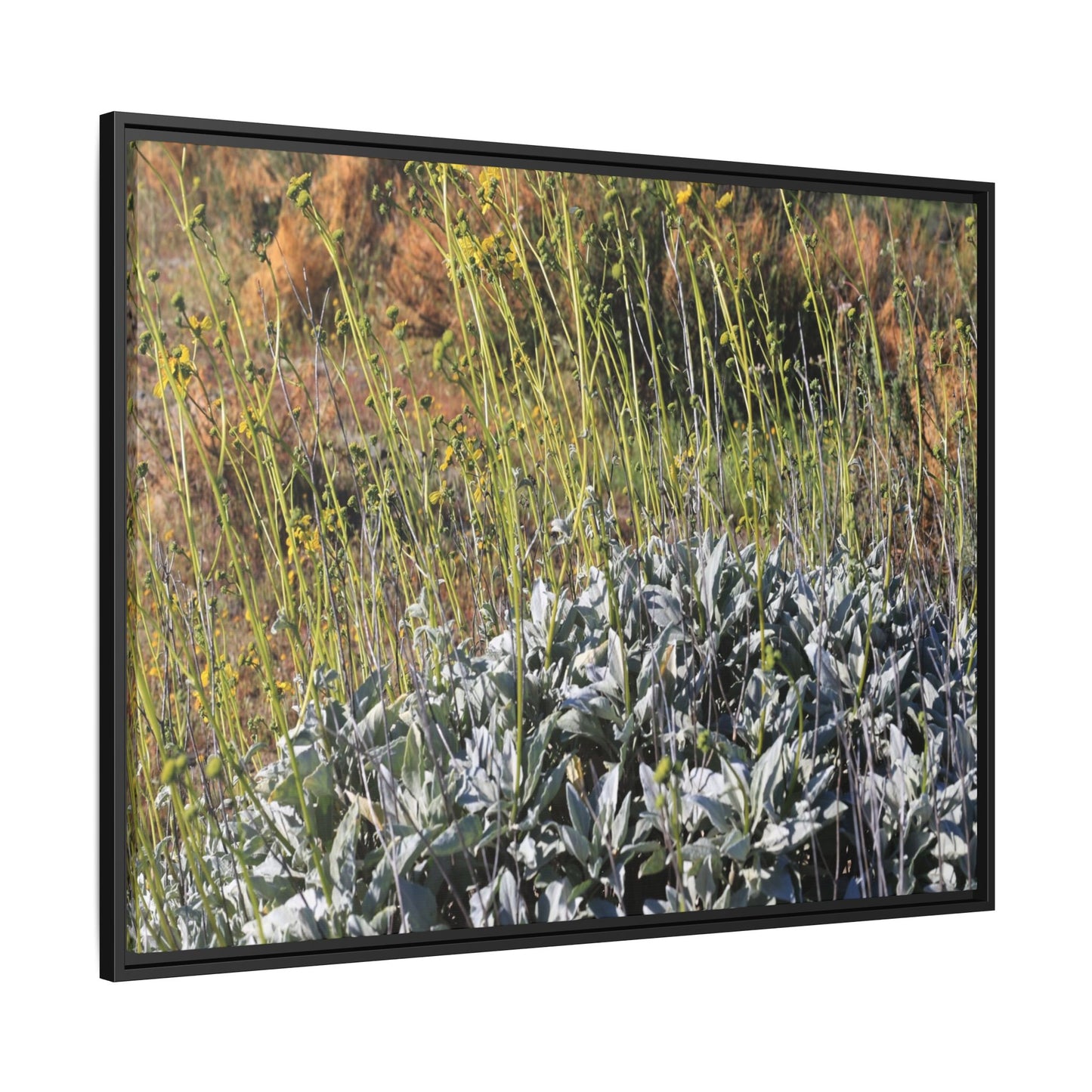 Arid Landscape with Yellow Flowers - Unique Stretched Canvas Wall Art - Art By Earth