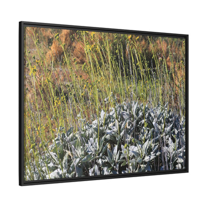 Arid Landscape with Yellow Flowers - Unique Stretched Canvas Wall Art - Art By Earth