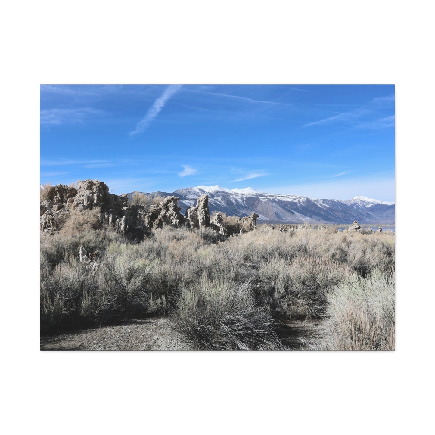 Echoes of Solitude - Unique Frameless Canvas Wall Art