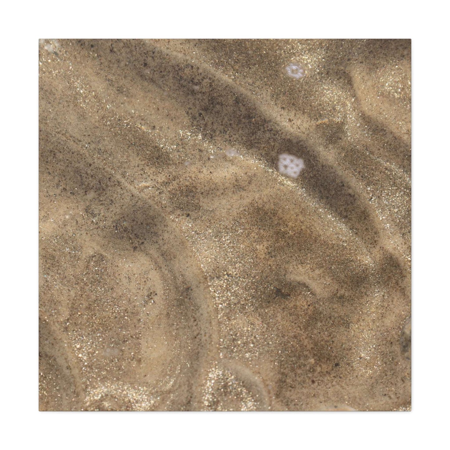 Sandy Shore Impressions - Unique Frameless Canvas Wall Art - Art By Earth