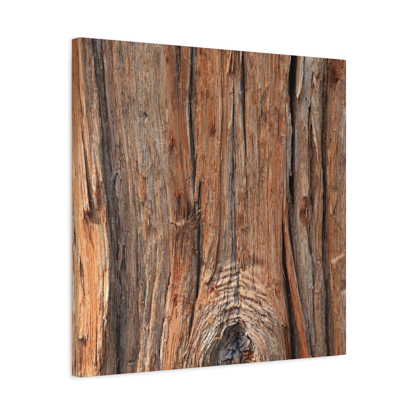 Bark's Ancient Whispers - Unique Frameless Canvas Wall Art - Art By Earth