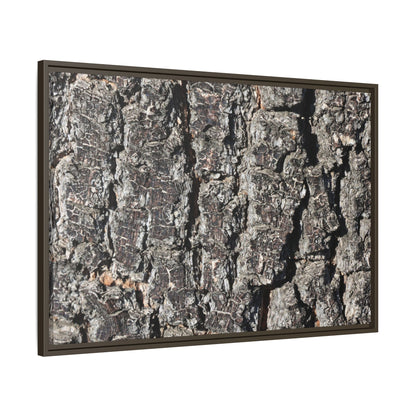 Bark Study in Gray - Unique Stretched Canvas Wall Art - Art By Earth