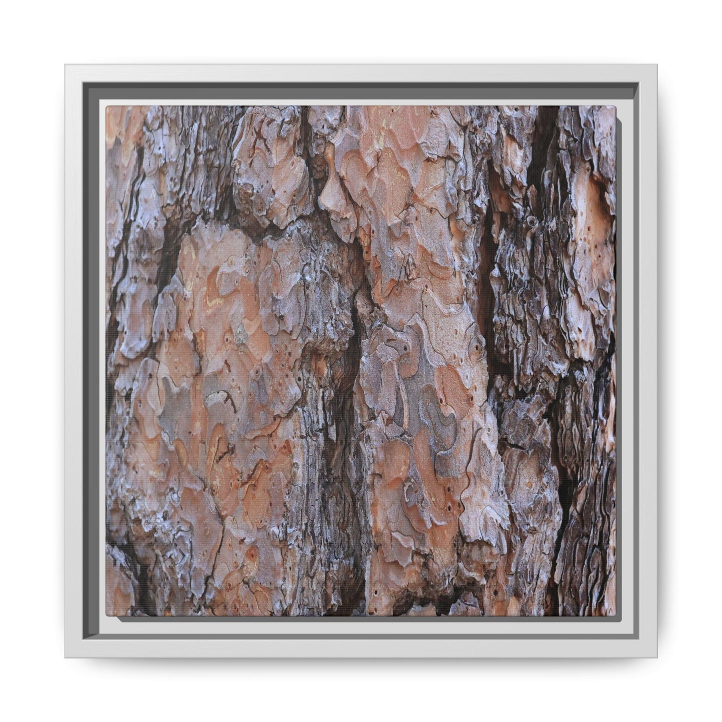 Tree Skin Symphony - Unique Stretched Canvas Wall Art - Art By Earth