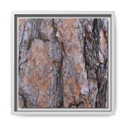 Tree Skin Symphony - Unique Stretched Canvas Wall Art - Art By Earth