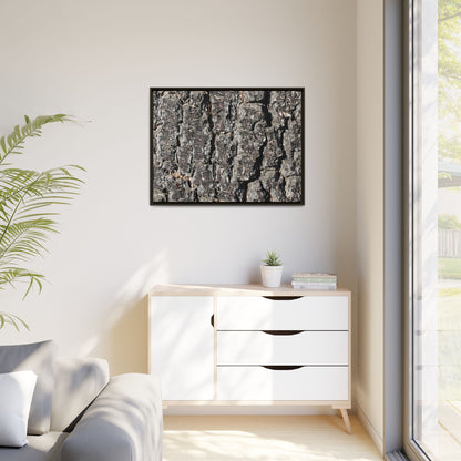 Bark Study in Gray - Unique Stretched Canvas Wall Art - Art By Earth