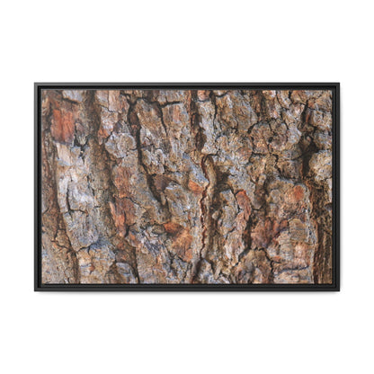 Tree's Timeworn Tale - Unique Stretched Canvas Wall Art - Art By Earth