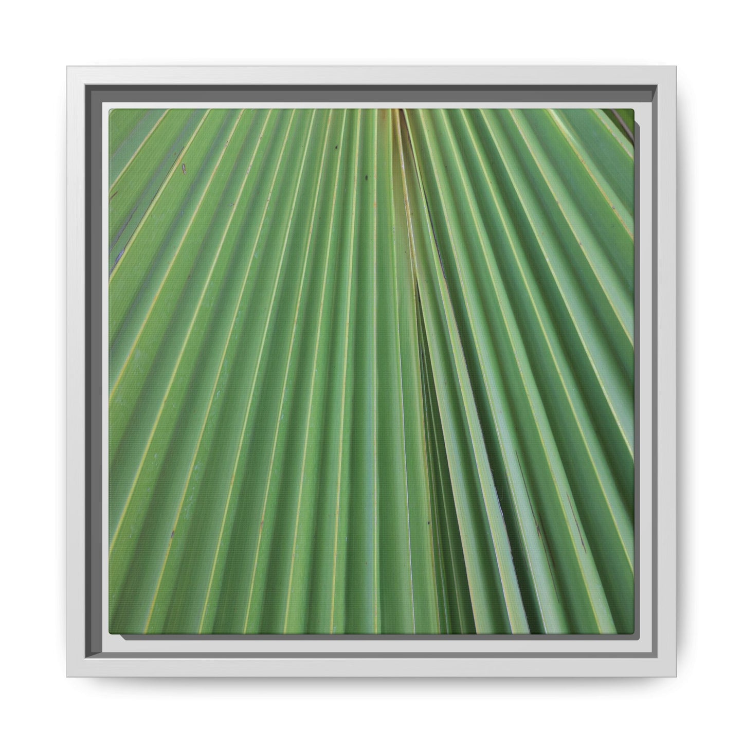 Verdant Veins - Unique Stretched Canvas Wall Art - Art By Earth