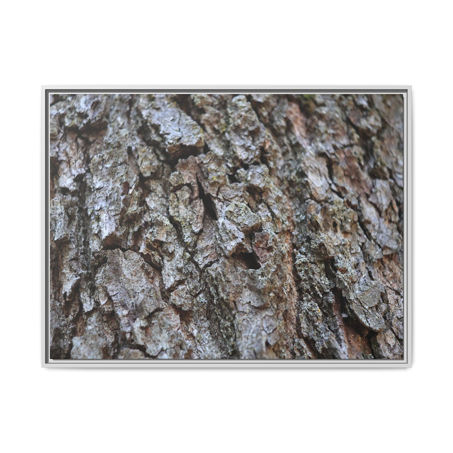 Woodland Canvas - Unique Stretched Canvas Wall Art - Art By Earth