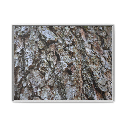 Woodland Canvas - Unique Stretched Canvas Wall Art - Art By Earth