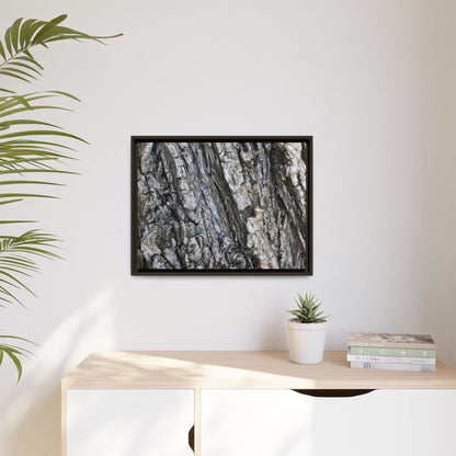 Twisted Textures - Unique Stretched Canvas Wall Art - Art By Earth