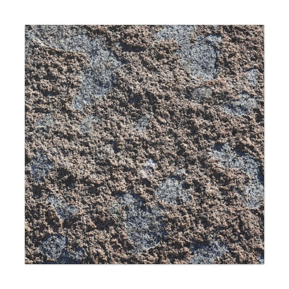 Soil and Stone - Unique Frameless Canvas Wall Art