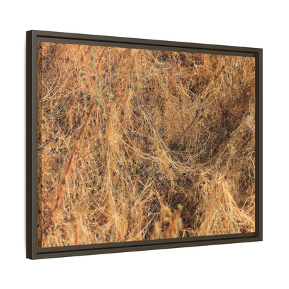 Dried Vegetation Study - Unique Stretched Canvas Wall Art - Art By Earth