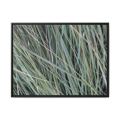 Grassland Symphony - Unique Stretched Canvas Wall Art - Art By Earth