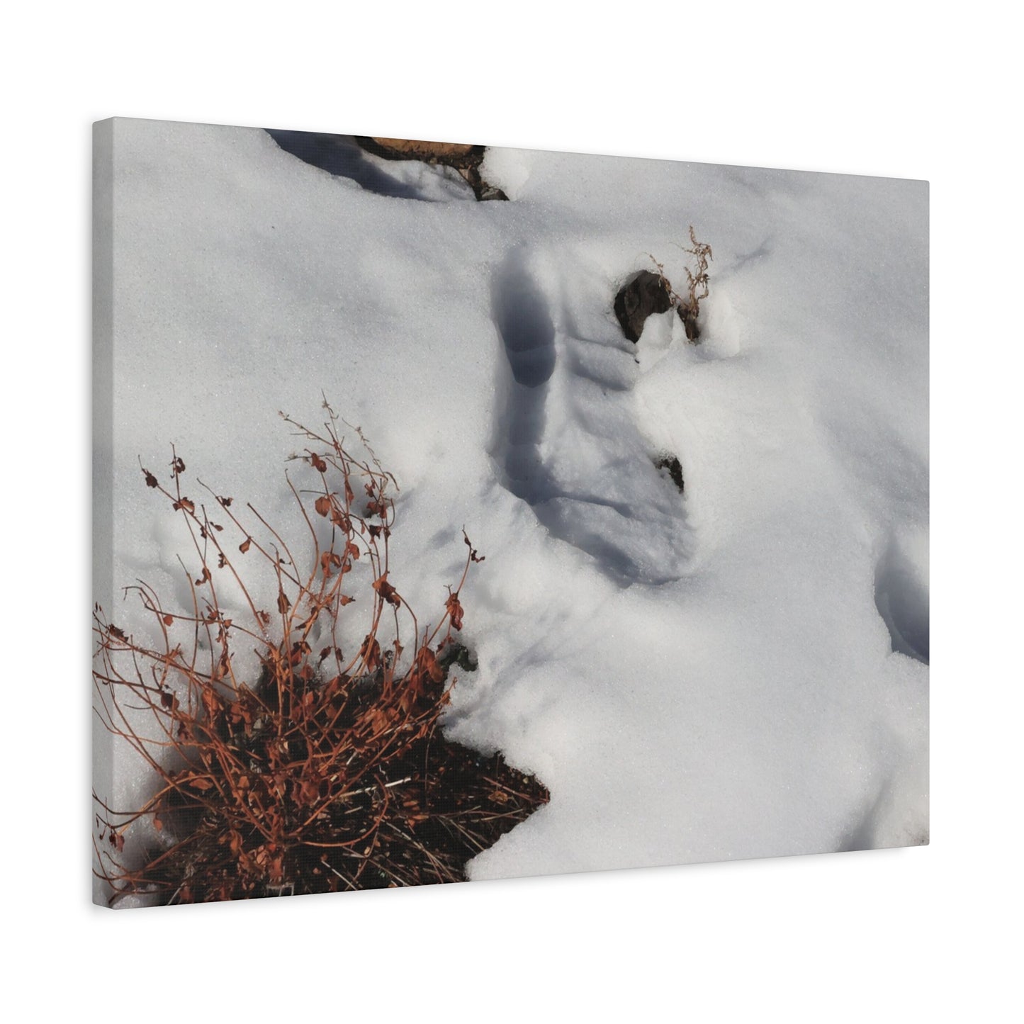 Snow's Tender Embrace - Unique Frameless Canvas Wall Art