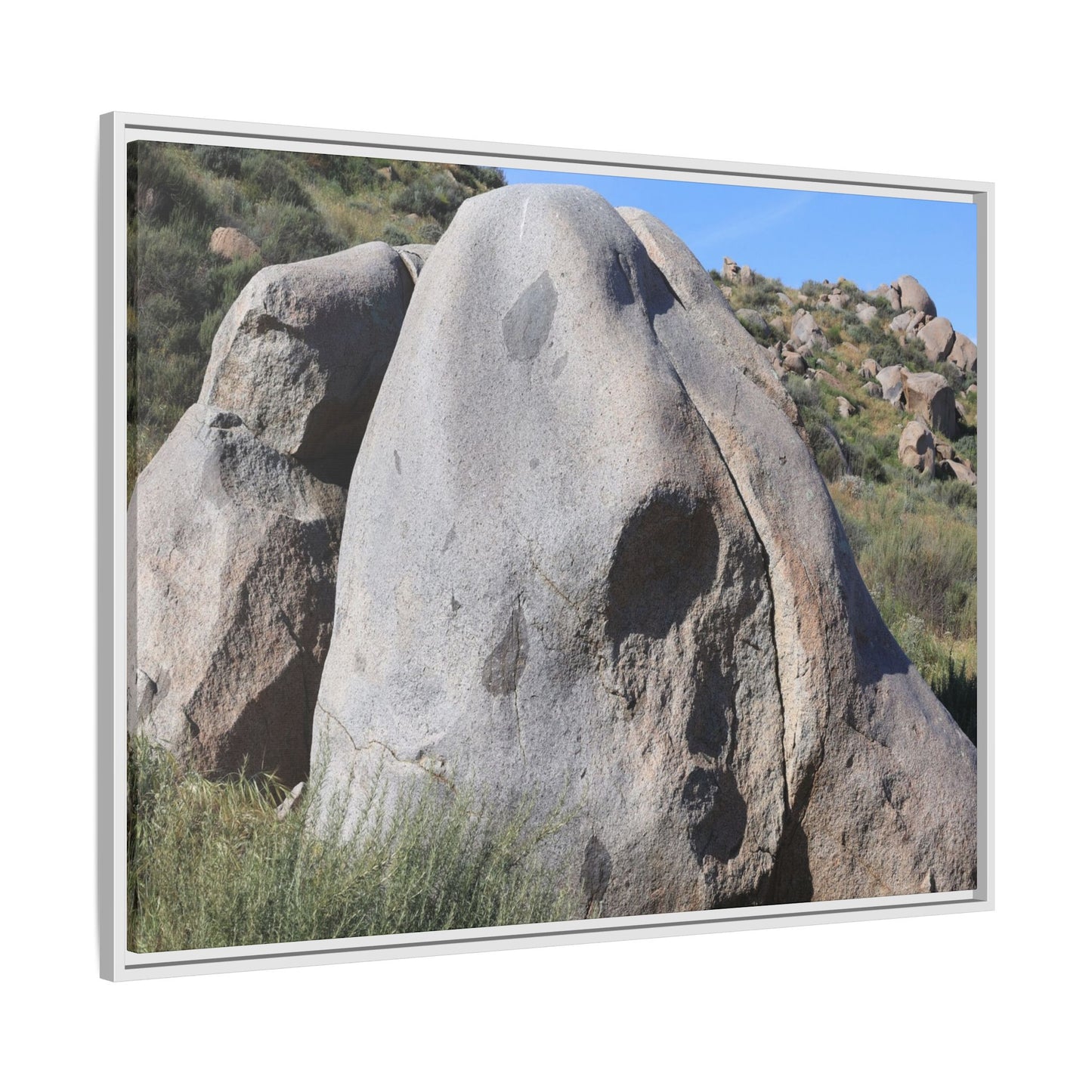 Skull Rock Desert - Unique Stretched Canvas Wall Art - Art By Earth
