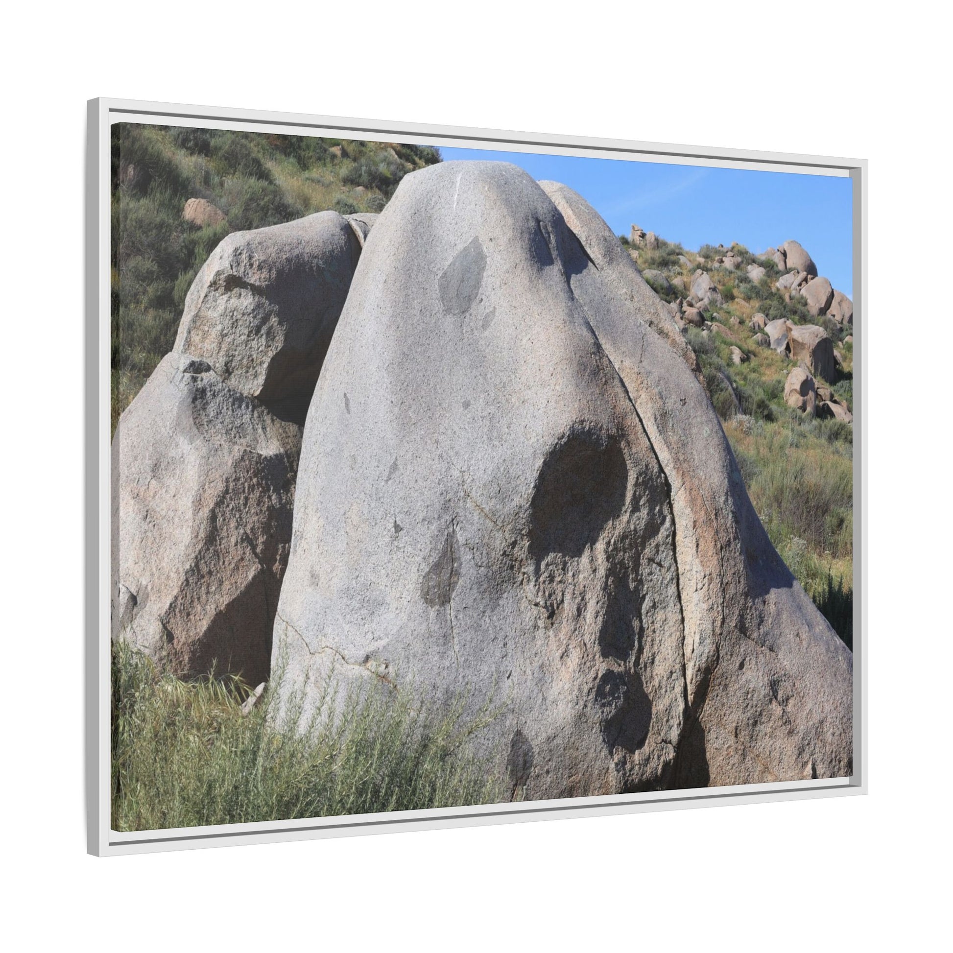 Skull Rock Desert - Unique Stretched Canvas Wall Art - Art By Earth