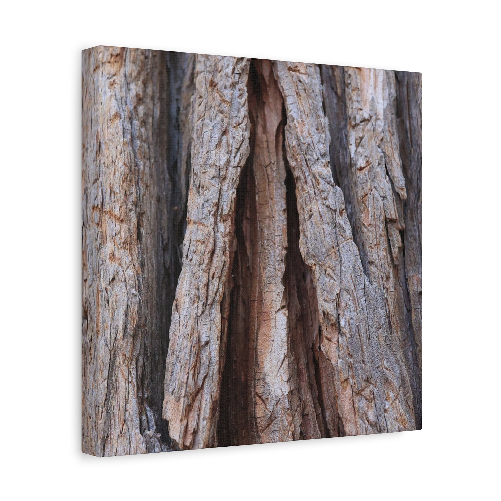 Fractured Skin of Time - Unique Frameless Canvas Wall Art - Art By Earth