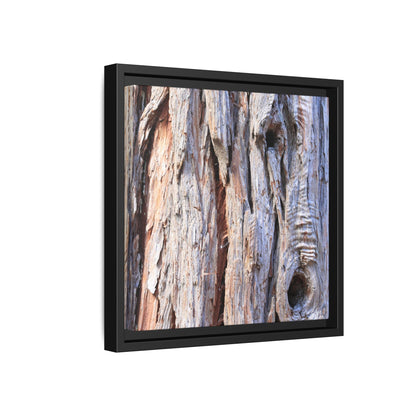 Nature's Grain - Unique Stretched Canvas Wall Art - Art By Earth