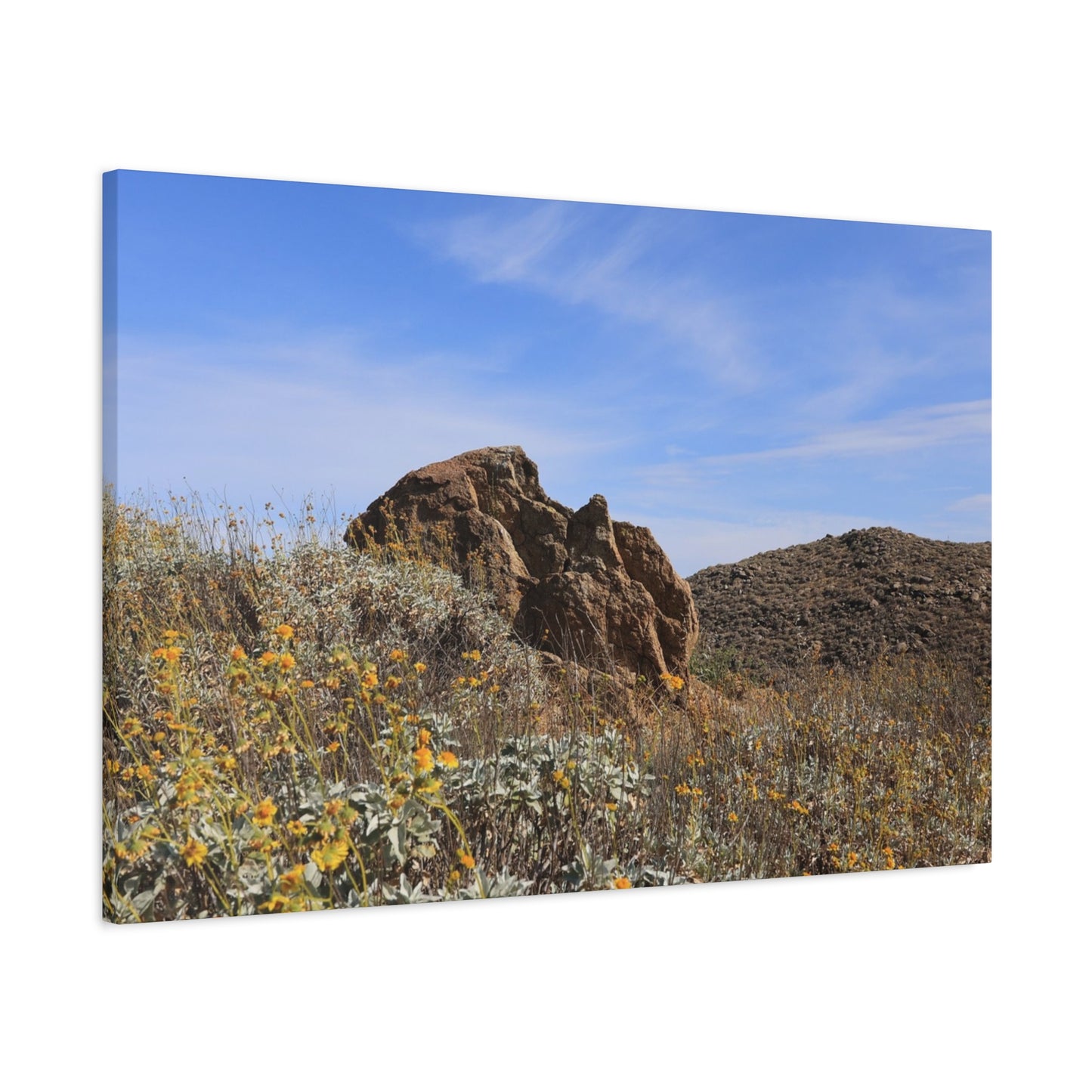 Desert Bloom - Unique Frameless Canvas Wall Art - Art By Earth