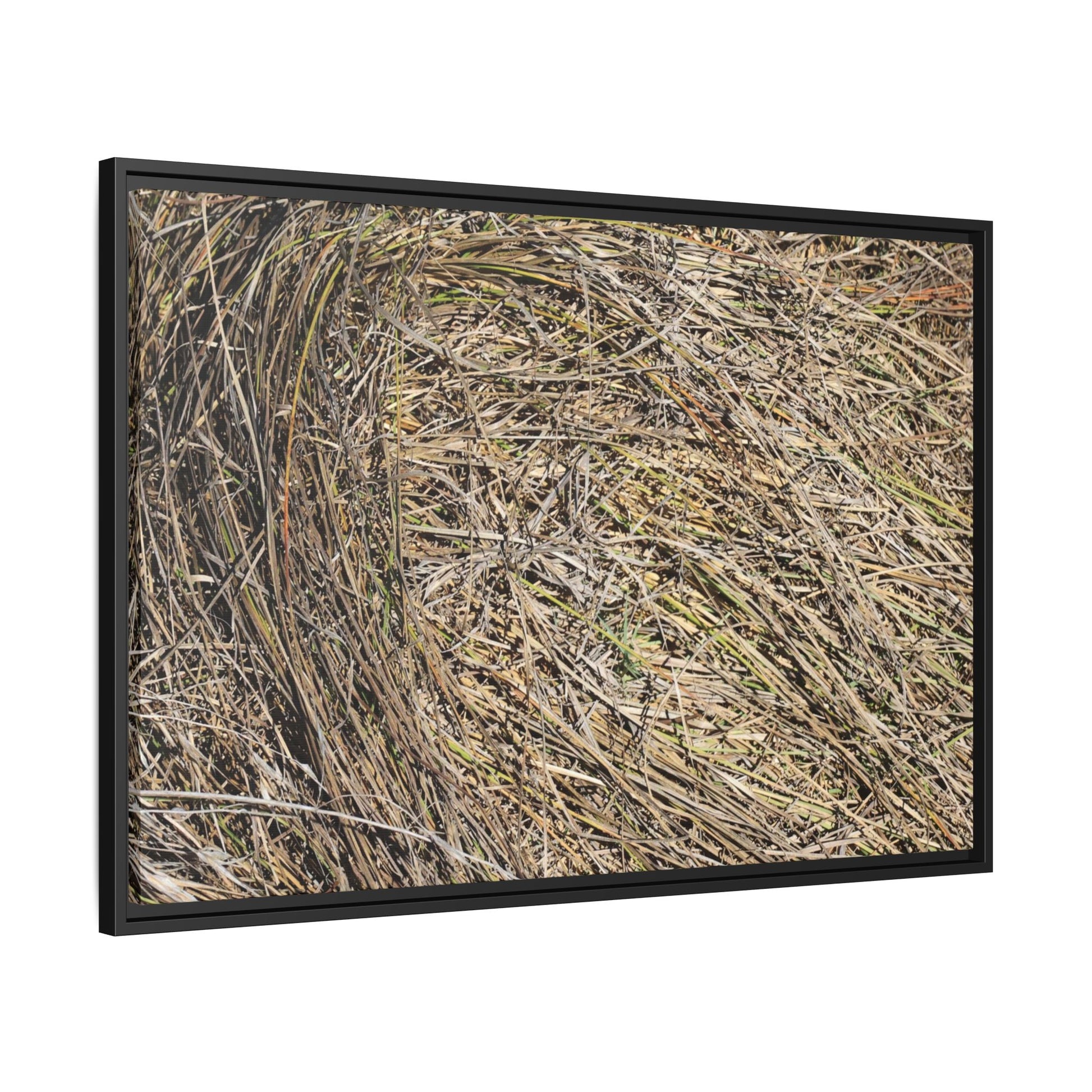 Tangled Grass Symphony - Unique Stretched Canvas Wall Art - Art By Earth