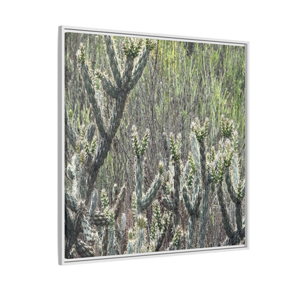 Prickly Paradise - Unique Stretched Canvas Wall Art - Art By Earth
