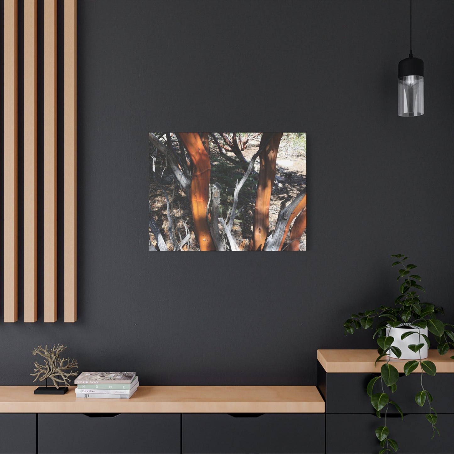 Peeling Bark of Ancient Trees - Unique Frameless Canvas Wall Art