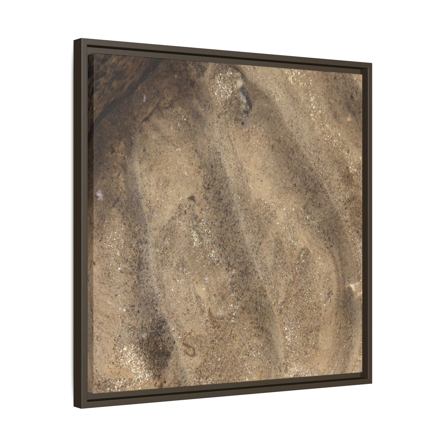Tidal Pool Secrets - Unique Stretched Canvas Wall Art - Art By Earth