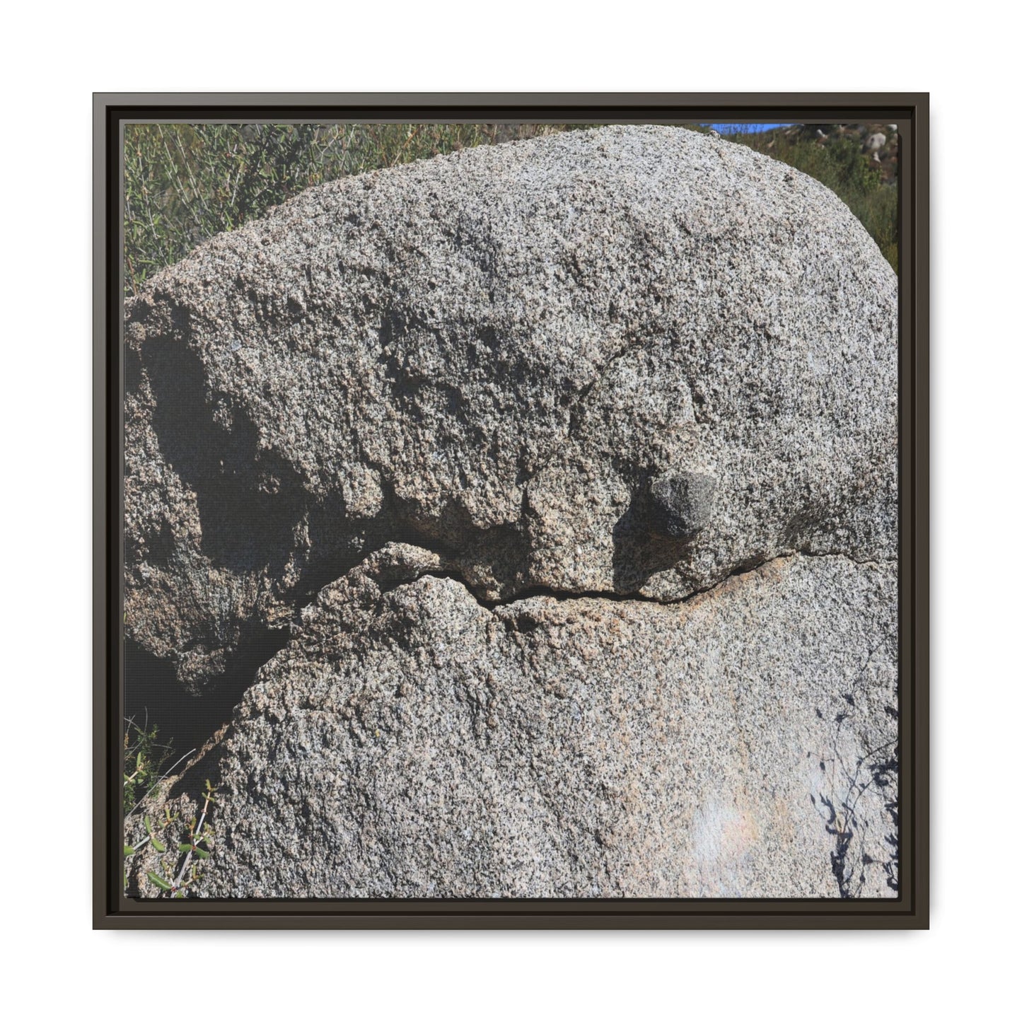 Stone Skull in Desert - Unique Stretched Canvas Wall Art