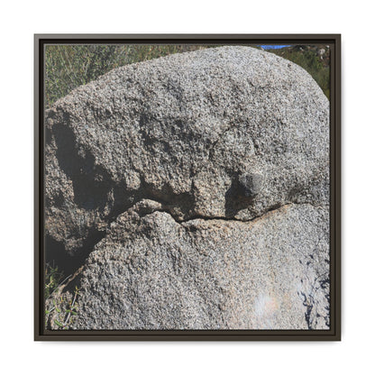 Stone Skull in Desert - Unique Stretched Canvas Wall Art