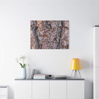 Rough Canvas - Unique Frameless Canvas Wall Art - Art By Earth