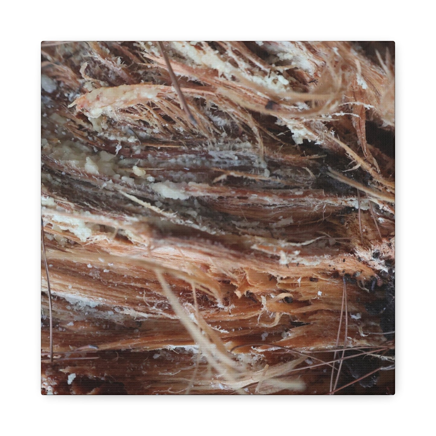 Decaying Whispers - Unique Frameless Canvas Wall Art - Art By Earth