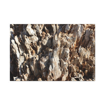 Decaying Bark Symphony - Unique Frameless Canvas Wall Art