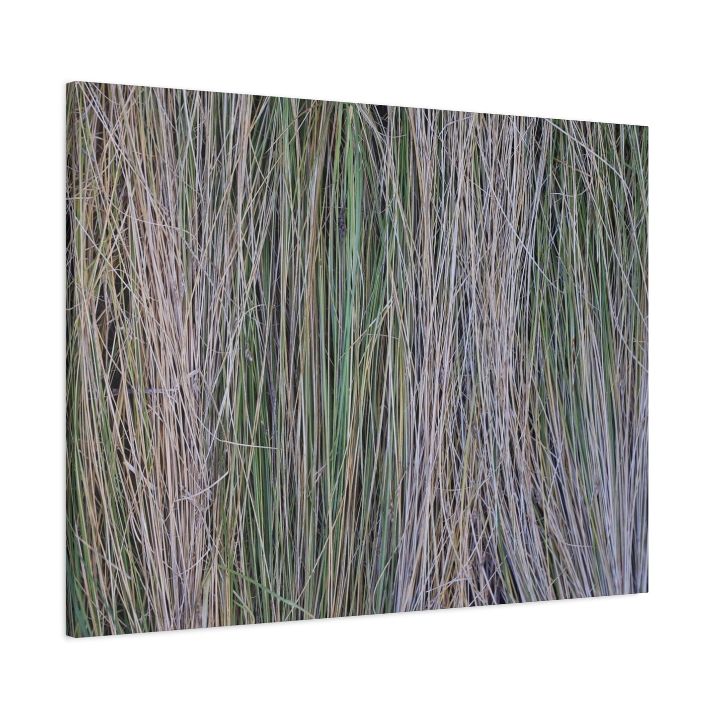 Whispers of Grass - Unique Frameless Canvas Wall Art - Art By Earth